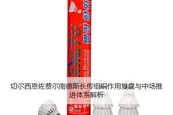 切尔西恩佐费尔南德斯长传组织作用复盘与中场推进体系解析